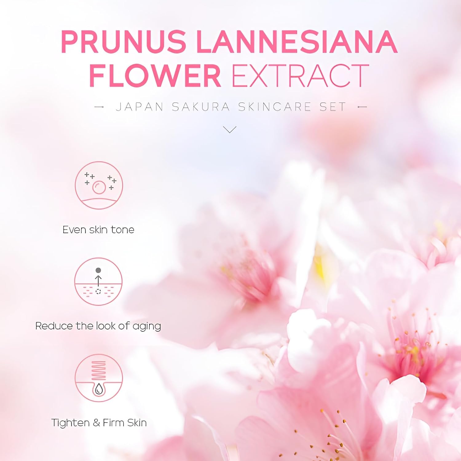 Sakura Skin Care Set - Toner, Cleanser, Face Serum, Cream, 2 Type Facial Mask, Eye & Lip Mask, 24PCS